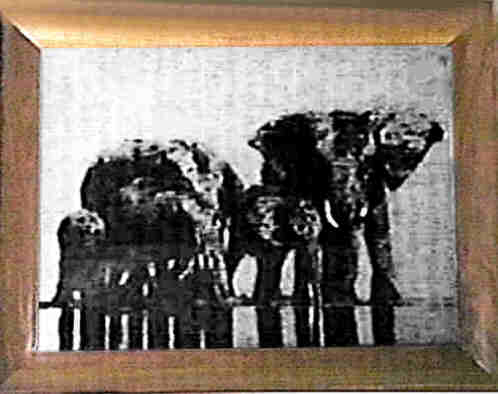 morning.jpg (18217 bytes)