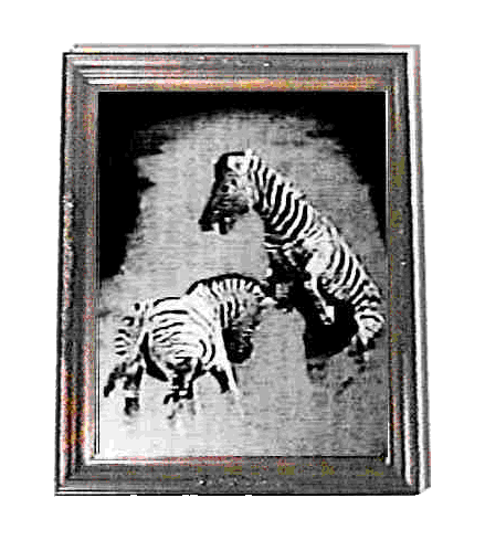 veldt.gif (67475 bytes)